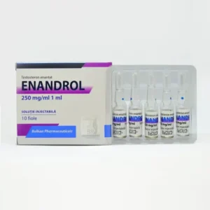 Testosterona E 250 - Enandrol
